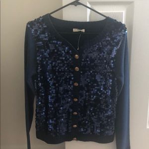 Sequin blue sweater
